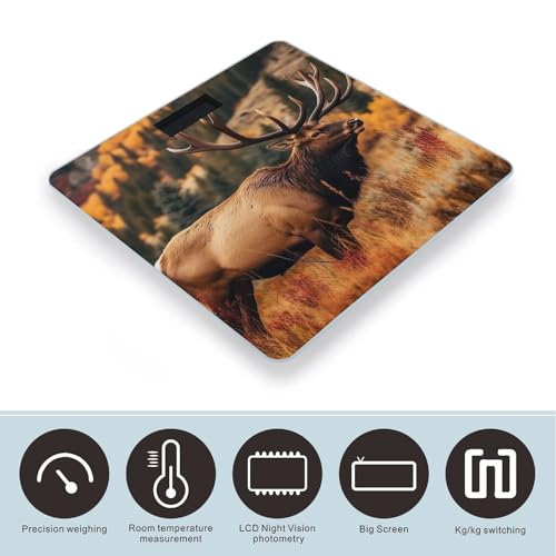 Balanza Digital de Baño Wild Animals en Vidrio Templado miniatura 3