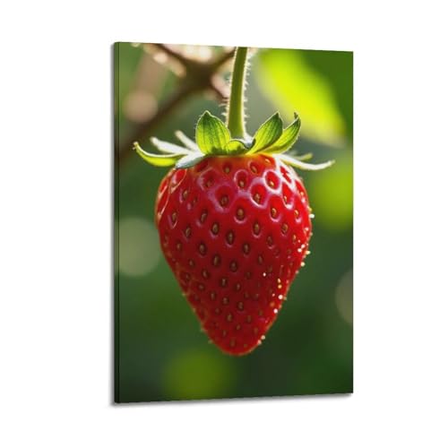 Poster fraises ZHOUKEG resoudre le probleme des murs blancs vides