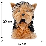 Zoom IMG-2 zappi co rob lo yorkshire