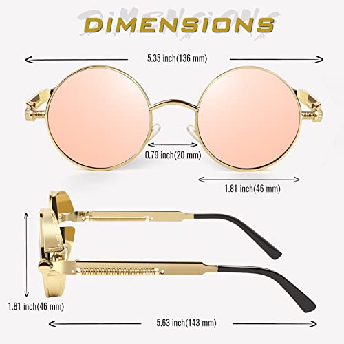 Image of GQUEEN Retro Round Circle Steampunk Sunglasses Polarized Metal Alloy for Women Men MTS2