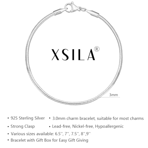 Charm Bracelet for Women 925 Sterling Silver Charm Snake Chain Bracelets Jewelry Gift for Her3