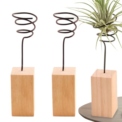 Tillandsia - Soporte para plantas de aire, juego de 3 soportes para plantas de aire, para plantas de interior, para amantes de las plantas