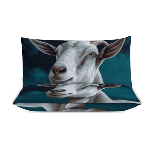 Housse de couette anti transpiration 200x229 parure de lit chèvre confortable