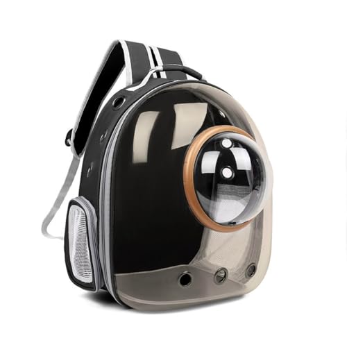 BtcFuFDJvZ^̔Lƌ̃ybgL[{bNXAȔLobO|[^uFJvZybgobOʋCobNpbN (Ă~߃uE,AbvO[hŁyS[hOz)