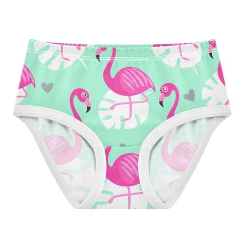Toddler Underwear Custom 2t Cotton Panties for Girl Cartoon Kids Briefs Undies Pink Flamingos Mint Green