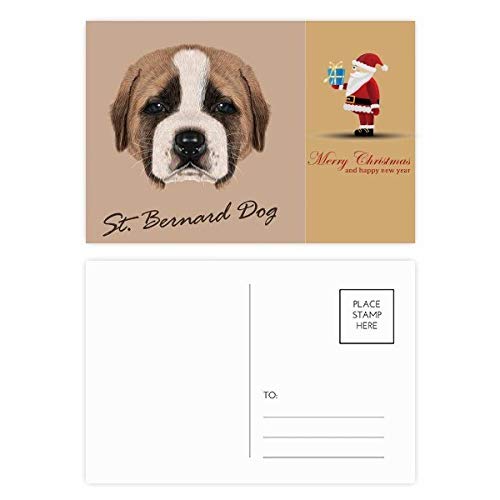 Cartes postales Saint-Bernard marron à écrire pour vos souvenirs de vacances