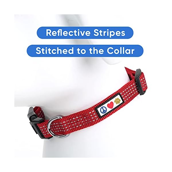 Pawtitas Reflective Dog Collar with Stitching Reflective Thread | Reflective Dog Collar with Buckle Adjustable and Better Training Great Collar for Small Dogs – Red Collar Pawtitas Reflective Dog Collar with Stitching Reflective Thread | Reflective Dog Collar with Buckle Adjustable and Better Training Great Collar for Small Dogs – Red Collar