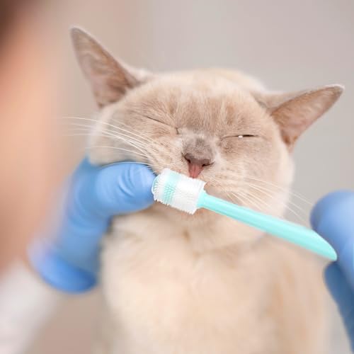 BOHUIZ 3-stück Katzen- und Hunde-Zahnbürste, 360 Grad Reinigung, Weiche Borsten, Pink, Blau, Grün