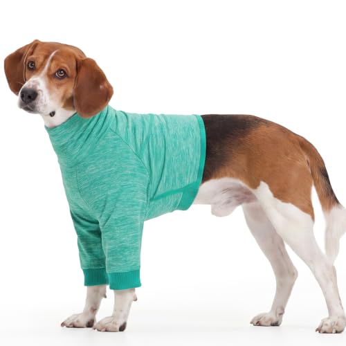 ROZKITCH Dog Recovery Sleeve Front Leg Dog Shirt Half Shoulder
