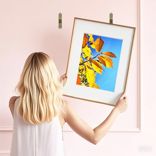 Image of Aynoo 184 Pieces Picture Hanging Kit,Heavy Duty Picture Hangers,20 /30 /50 lbs,Coat Towel Wall Picture Hanging Hooks