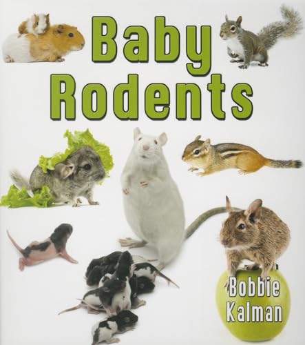 Baby Rodents (It's Fun to Learn about Baby Animals)