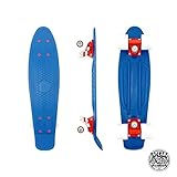 Swell Skateboards for Kids Ages 6-12 | Cruiser Complete Skateboard for Beginners, Boys, Girls, Youths, Teens, Adults College Students | 22 inch and 28 Inch Plastic Retro Mini Skateboard (22' Oceans)