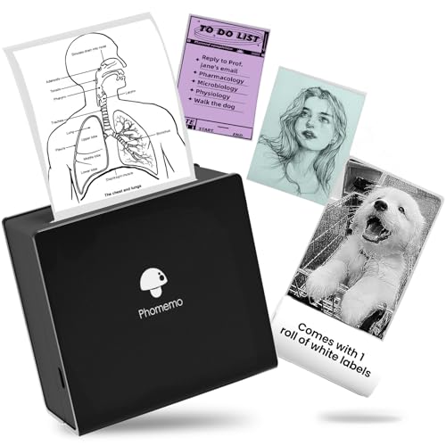 Phomemo M02 Miniskrivare fickskrivare för iOS och Android Smartphone Bluetooth Sticker skrivare termoskrivare mobil miniskrivare från mobiltelefon etikettskrivare