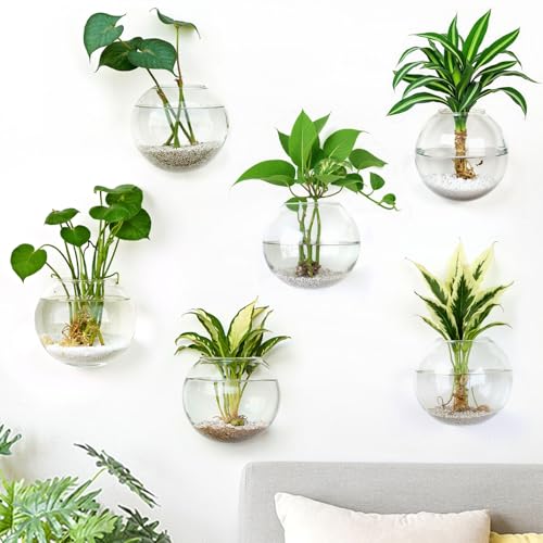DomeStar 6PCS Wall Vases, Clear Planter Terrarium Station Wall Mounted