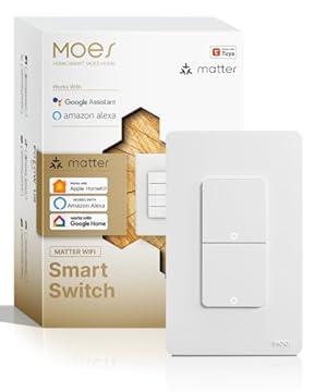 2 gang smart light switch