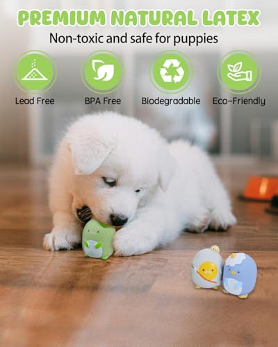 Jouets couineurs en latex SCHITEC pour chiens de petite taille