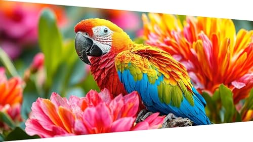 Kit Dot Painting Perroquet 70x140cm un cadeau créatif femme