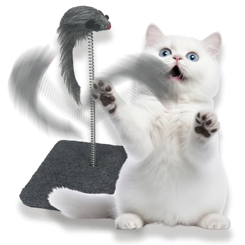 Juguete Gatos Duradero, Juguete para Gato Suave, Ratones para Gatos, Sirve también como rascador, Juguetes con ratón, rascadores, Momberti