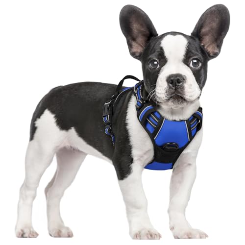 Image of rabbitgoo Dog Harness No Pull with 2 Leash Clips, Adjustable Soft Padded, Reflective Oxford No Choke Pet Vest with Easy Control Handle for Small Dogs, Dazzling Blue, S