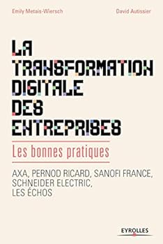 Paperback La transformation digitale des entreprises: Les bonnes pratiques. Axa, Pernod Ricard, Sanofi France, Schneider lectric, les échos. [French] Book