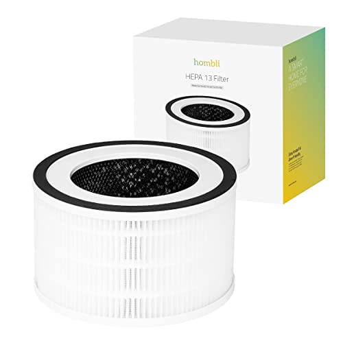 Filtre HEPA 13 de rechange pour aspirateur traîneau
