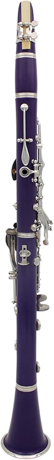 B Flat Clarinet with 17 Key, Exquisite Design, Cupronickel Keys, Reed Case Cleaning Cloth Gloves, ABS Instrument for Music Enthusiasts (black) (blue) (dark blue) (purple)