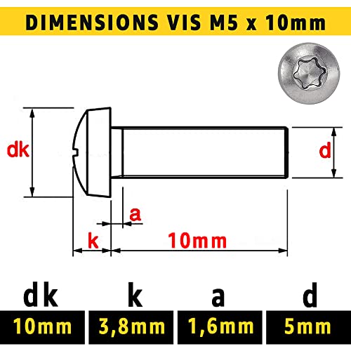 Torx Tête Bombée M5 x 10mm : Boîte 10 Pcs Visserie Inox pour Écrou Rondelle | Vis Cylindrique à 6 Lobes Acier A2 | Métal Anti-Rouille - ISO 14583 | Boîte Rangement PROTORX – vue 3