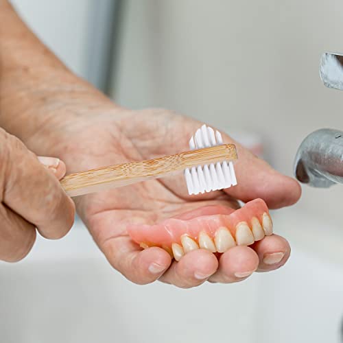 The 26 Best efferdent Denture Cleansers of 2024 [Verified] Cherry Picks