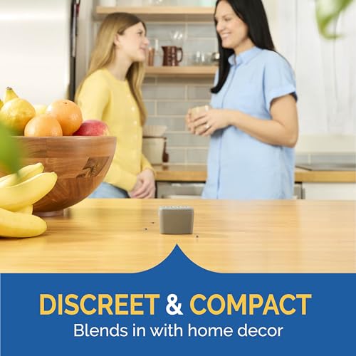 Hot Shot Flying Insect Trap, Discreet, Hassle-Free Trap Attracts, Captures House and Fruit Flies, 24/7 Continuous Attraction, No Plug-in Or Electricity Needed, 6 Count, 7 Ounces