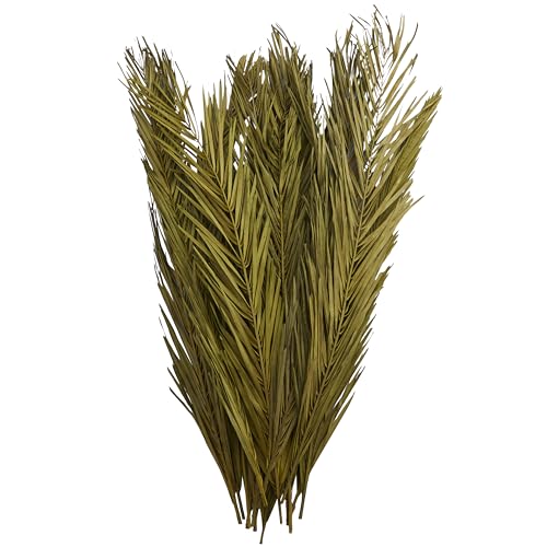 Deco 79 Dried Plant Palm Leaf Natural Foliage with Feather Inspired Stems, 4