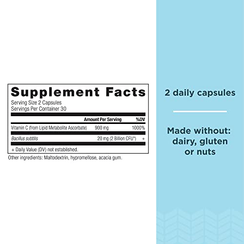 Ancient Nutrition Probiotics And Vitamin C Supplement, Supports Healthy Immune System And Gut Health, Made Without Gmos, Superfoods Supplement, Paleo And Keto Friendly, 60 Capsules #TOP1