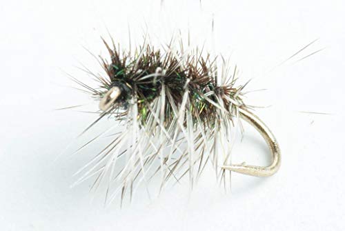 Blue Wing Olive Griffith's Gnat Dry Fly, 6 Pack (#20)