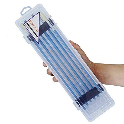 RISLISO Paint Brush Holder Box, 13-Inch Clear Plastic Case