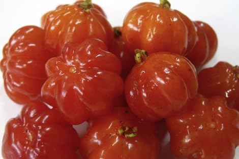 Semillas de fruta de pitanga 90 piezas naranja