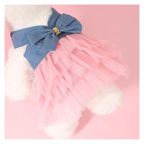 Bichon et petit chat tenue de printemps délicate en dentelle - 6