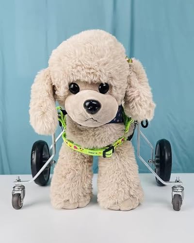 Chariot de mobilité pour chiens et chats pour revivre ensemble
