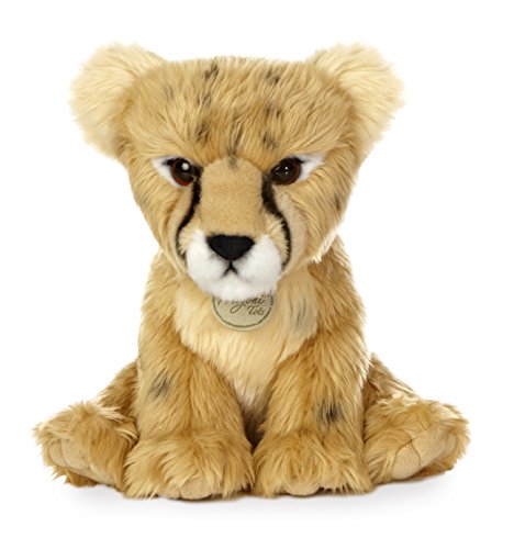 Aurora - Miyoni - 10