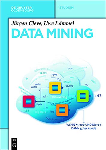 Preisvergleich Produktbild Data Mining (De Gruyter Studium)