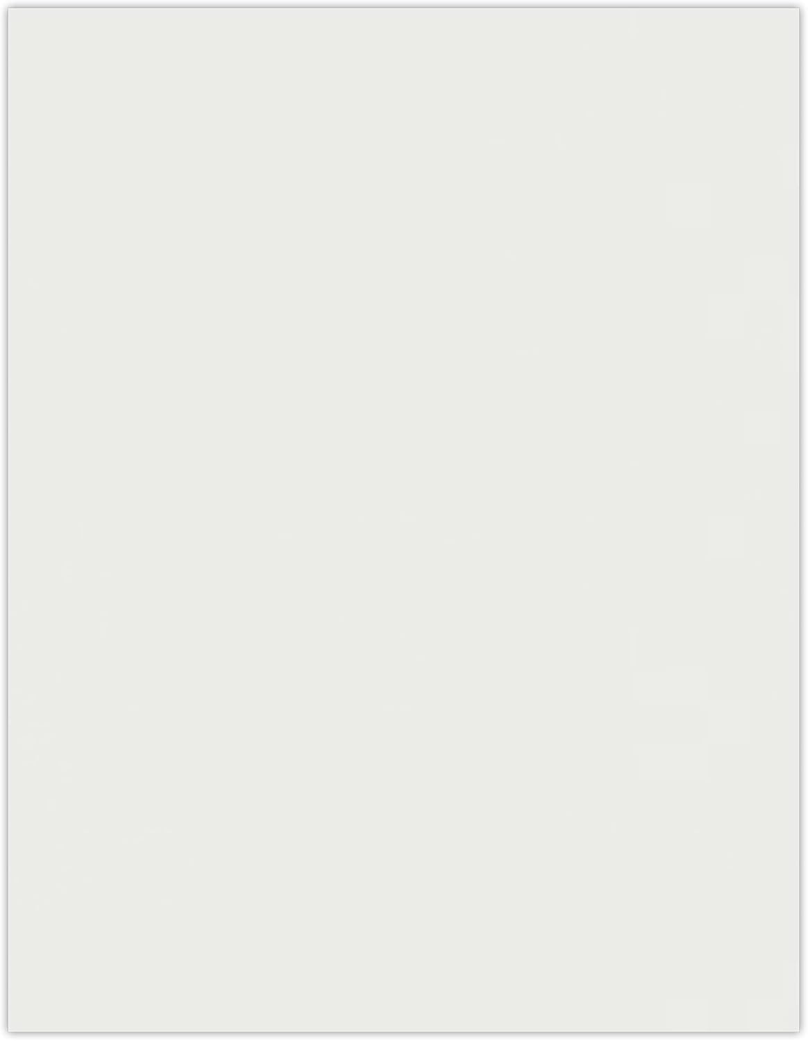 LUXPaper 8.5" x 11" Cardstock | Letter Size | Natural White | 118lb. Cover | 100% Cotton | 50 Qty