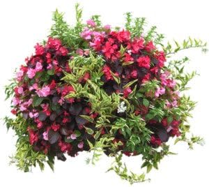 Rocky Mountain Goods Wall Planter Basket 14” - Includes mounting Hooks - Rust Proof - Outdoor or Indoor Use - Extra Thick Coco Liner - Extra Strength Steel for Heavier soils