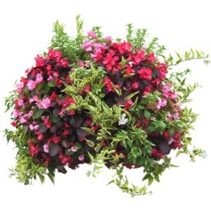 Rocky Mountain Goods Wall Planter Basket 14” - Includes Mounting Hooks - Rust Proof - Outdoor Or Indoor Use - Extra Thick Coco Liner - Extra Strength Steel For Heavier Soils #TOP1