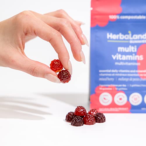 Herbaland Vegan Multivitamins Gummies For Adults - 13 Essential Vitamins, Vitamin A, C, D3, E, B6, B12, Zinc, Complete Supplement, Sugar-Free And Organic - 4.4 Grams, Mixed Berry Flavor, 90 Count #TOP1