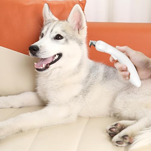 Brosse de démêlage pour chat et chien avec peigne incurvé progressif - 2