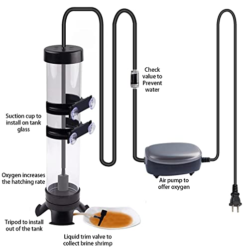 Brine Shrimp Hatchery Kits brine Shrimp Eggs Incubator Hatchery brine Shrimp Eggs Incubator Artemia Hatchery with Silver… - Image 4