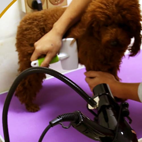 Support sèche-cheveux noir avec clip ajustable robuste pour animaux - 5