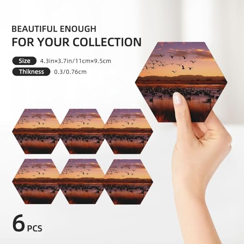 Dessous de verre céramique Bosque del Apache lot de 6 haute qualité - 4