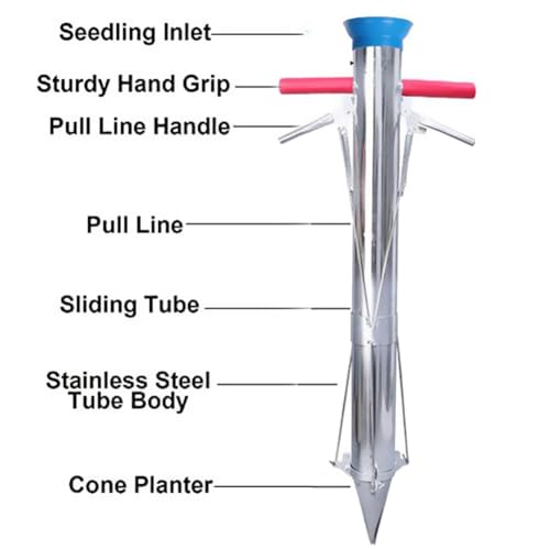 Herramienta para plantar bulbos, trasplantador de plántulas de acero inoxidable, herramienta de jardinería multifuncional para plantar rápidamente en jardín, patio, invernadero