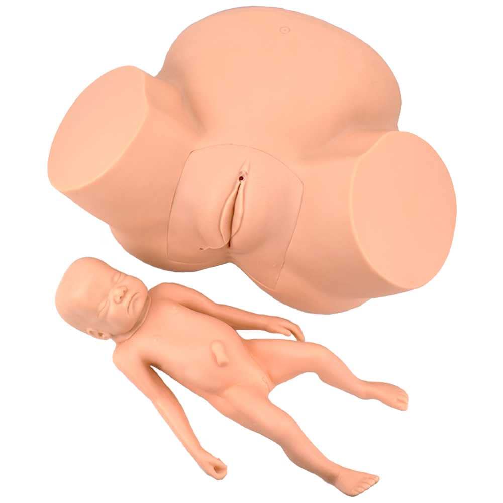 Modèle d'accouchement avec détails anatomiques pour simulation obstétrique