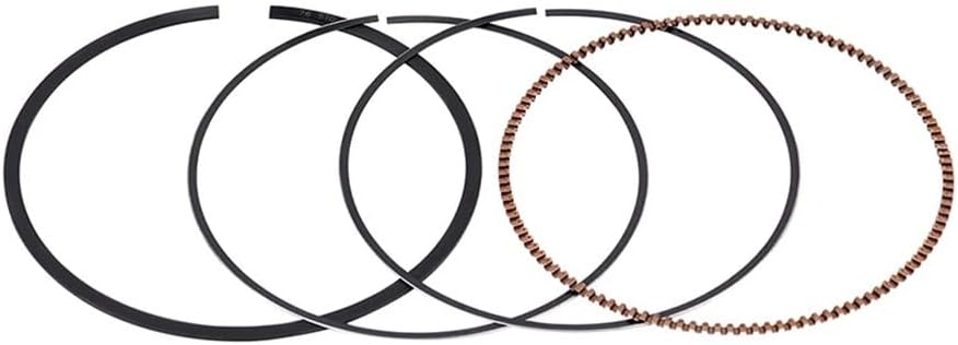 gs818様 Upgrade Your ZX Bike With Storage Accessories | SUPER73