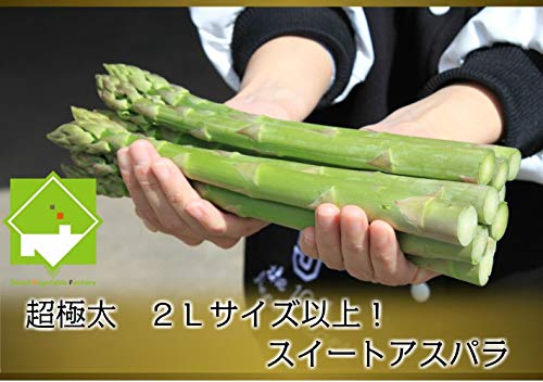 Amazon.co.jp: 2027年先行予約 富良野産 グリーンアスパラ 2L 500g【生